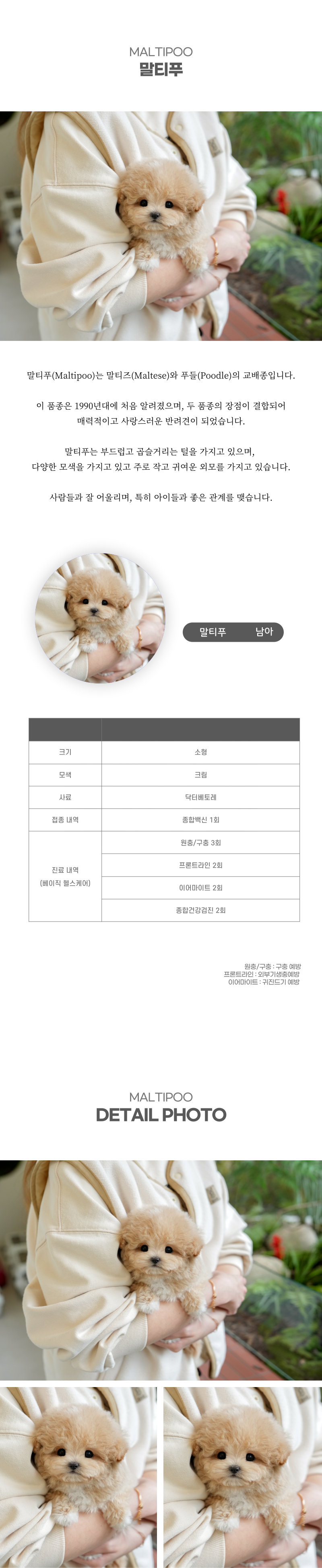 말티푸_상세이미지_2